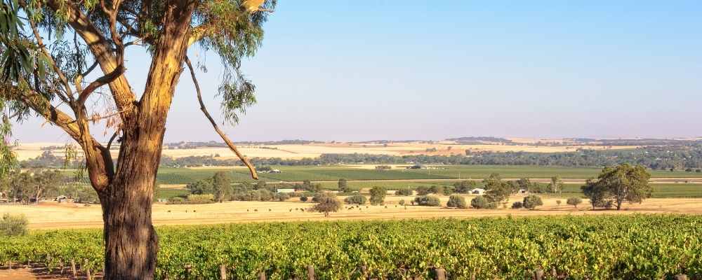 Barossa Valley