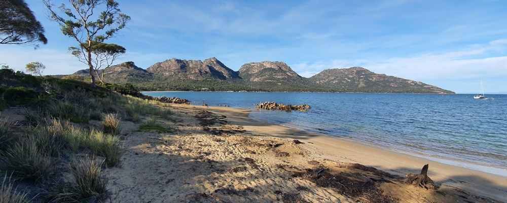 Great Oyster Bay Walk