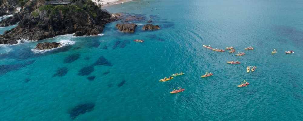 Byron Bay Dolphin Kayaking Tour - things to do in and around Lennox Head