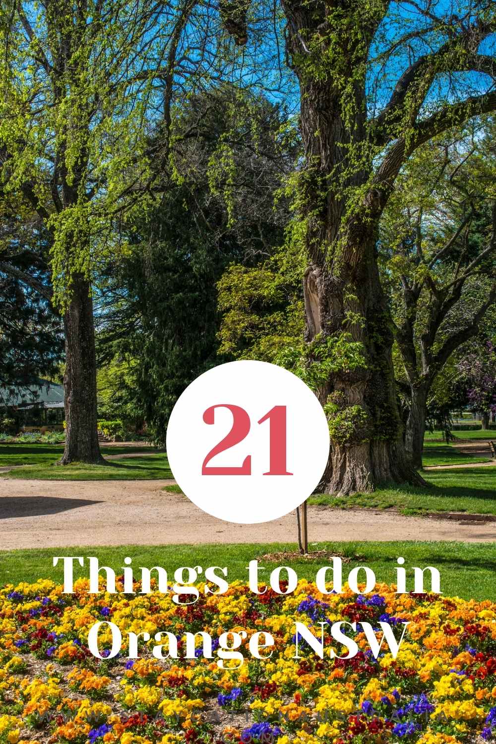 21 top things to do in Orange NSW