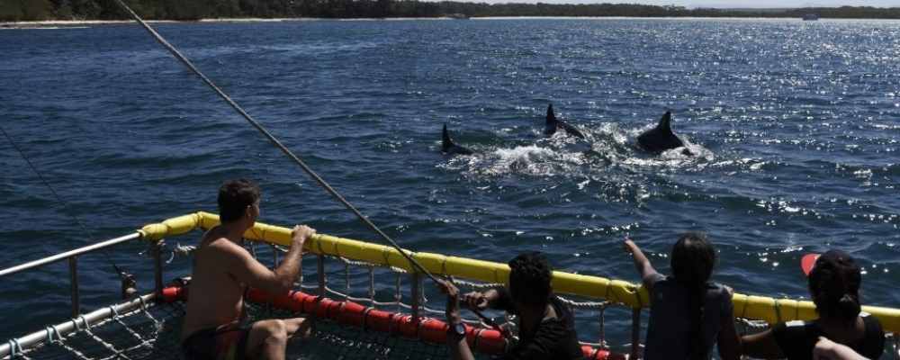 Boom Netting Cruise Jervis Bay