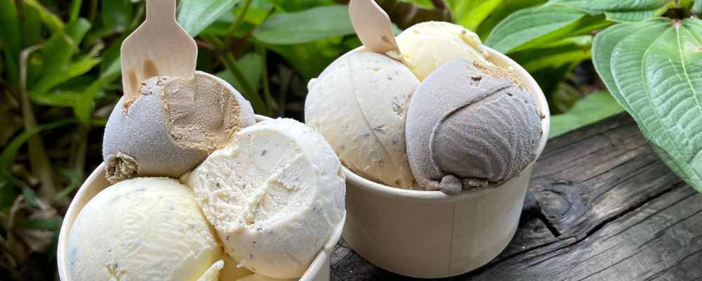 the best icecream at Daintree Ice-creamery
