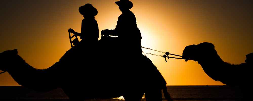Camel rides at sunset on Cable Beach